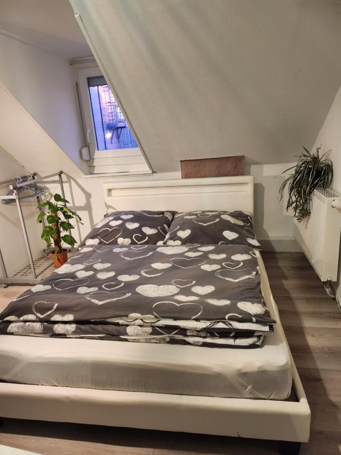 Gaestezimmer Sakowski Appartement Lörrach Buitenkant foto